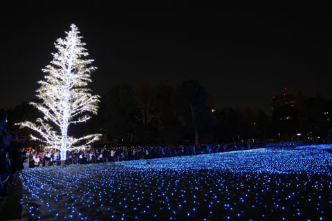 白ツリーと青い平原'%><%=image 1,'今年は星が流れます'%><%=image 2,'東京タワーを望んで