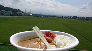 カレー