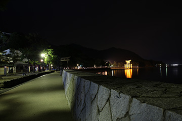 宮島夜景'%><%=image 8,'見知らぬ女子大生