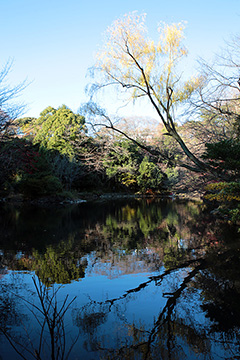 三四郎池