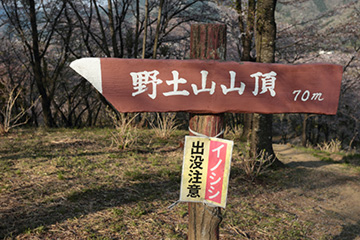 野土山