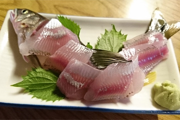 鮎のお刺身