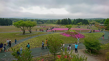 富士芝桜祭り'%><br /><%=image 2,'富士山蒲鉾